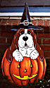 Lucy Pumpkin