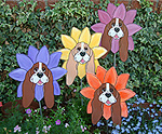 Bassett Daisies